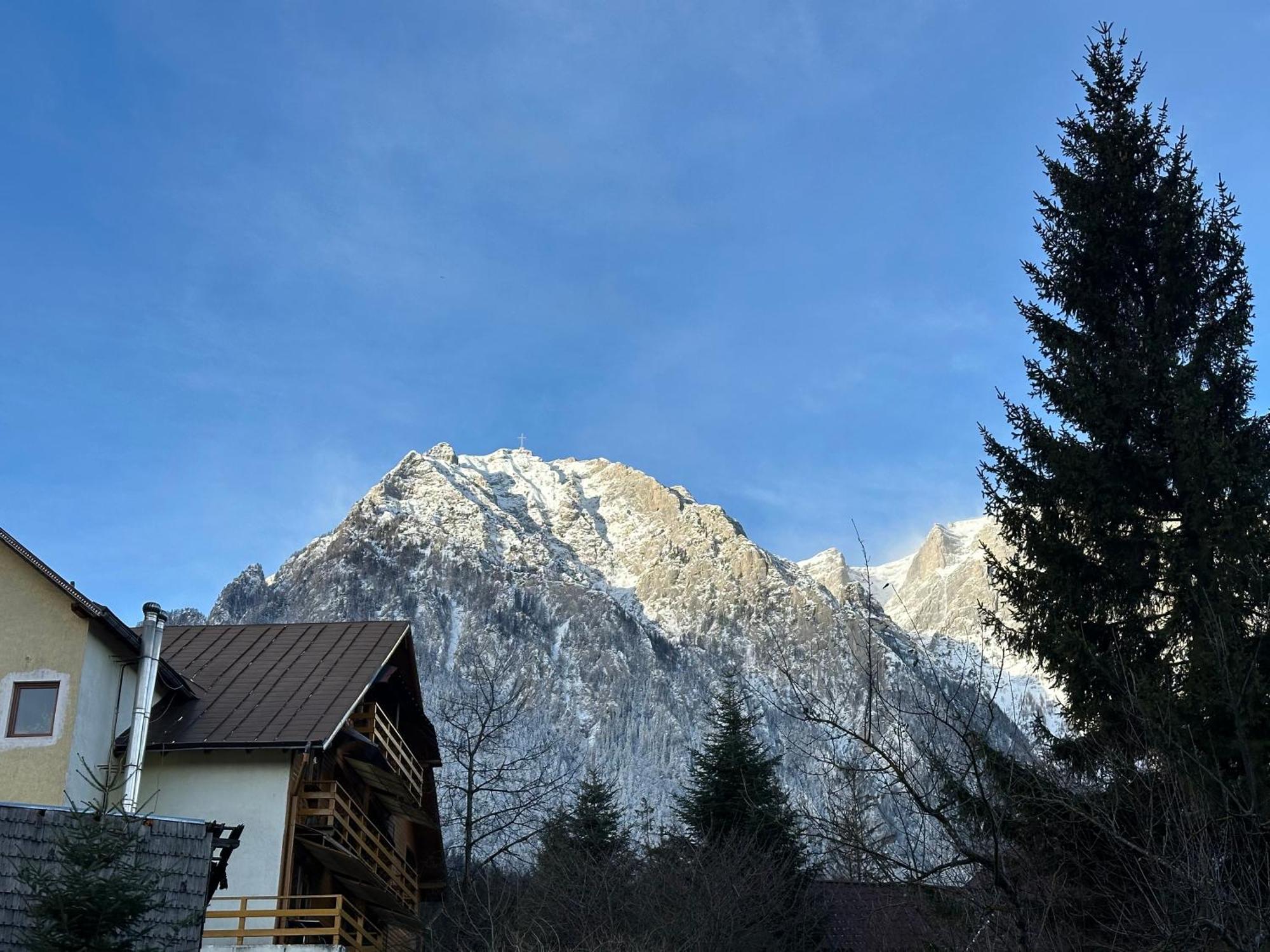 The View Apartment 3 Буштени Экстерьер фото